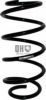 OPEL 0312840 Coil Spring